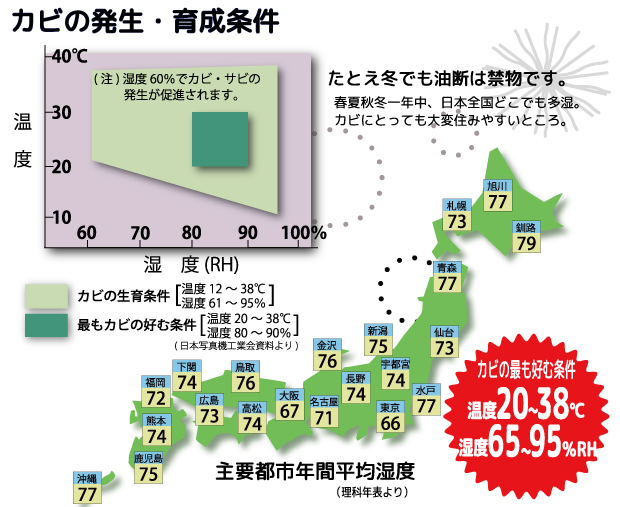 防潮儲存是霉菌的大敵